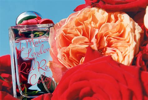 best rose perfume|best rose fragrance uk.